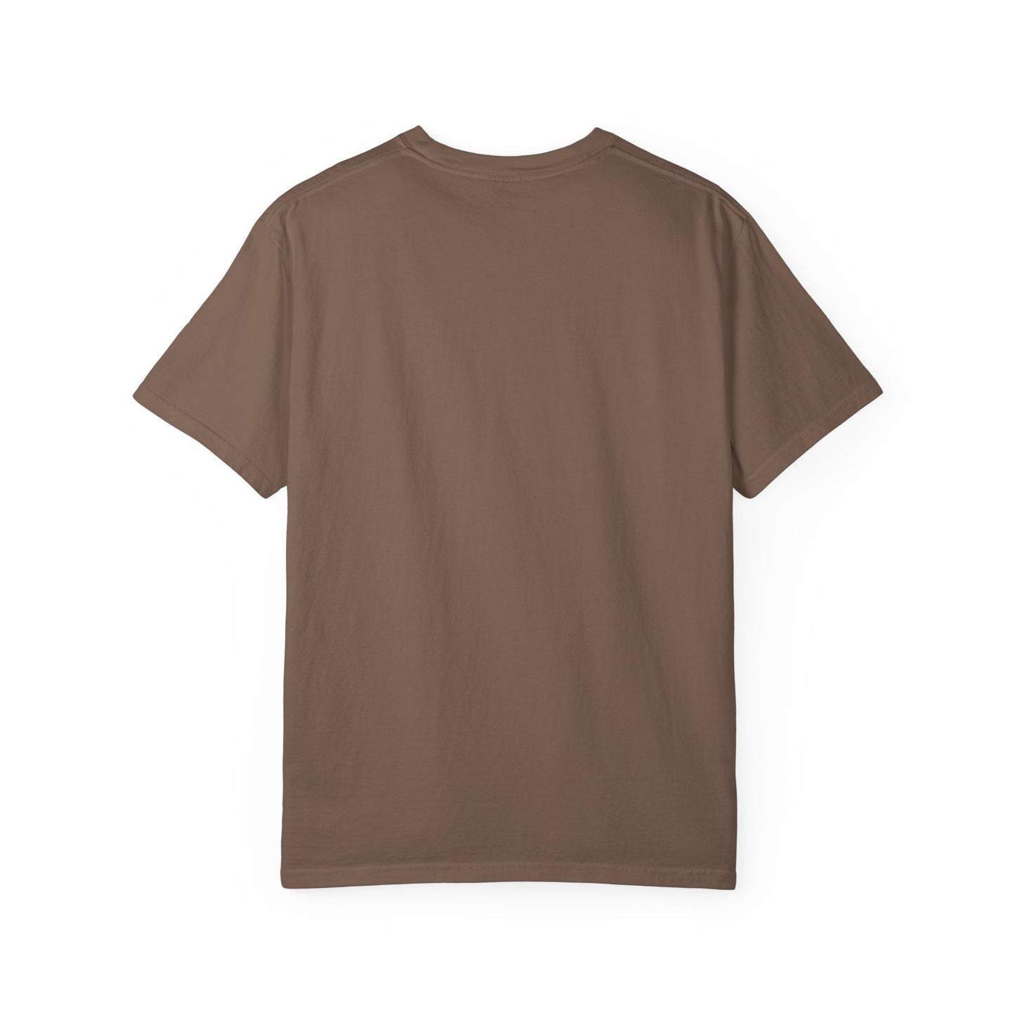 Dino Rawr - Comfort Color Tee