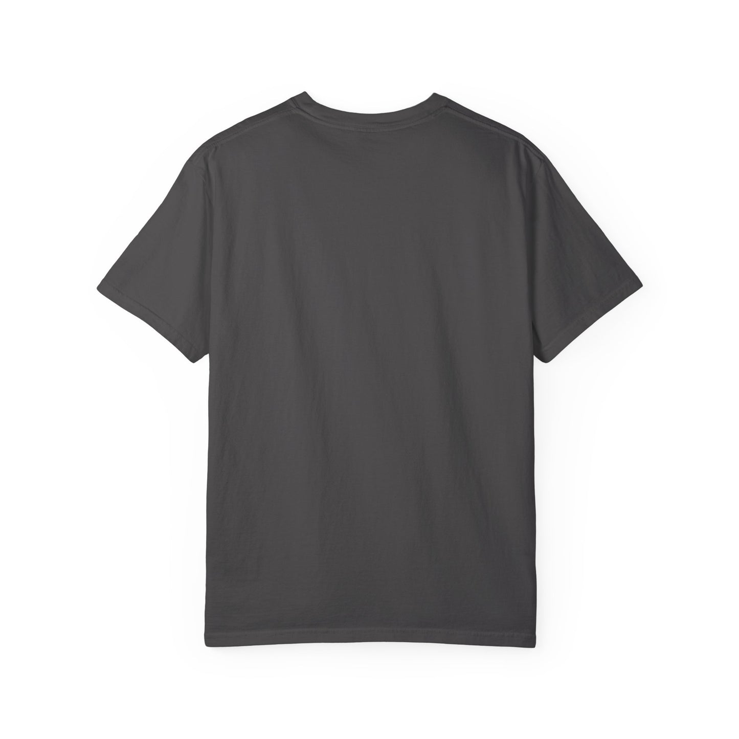 Dino Rawr - Comfort Color Tee